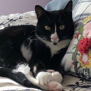 Meet your Posher, Janice